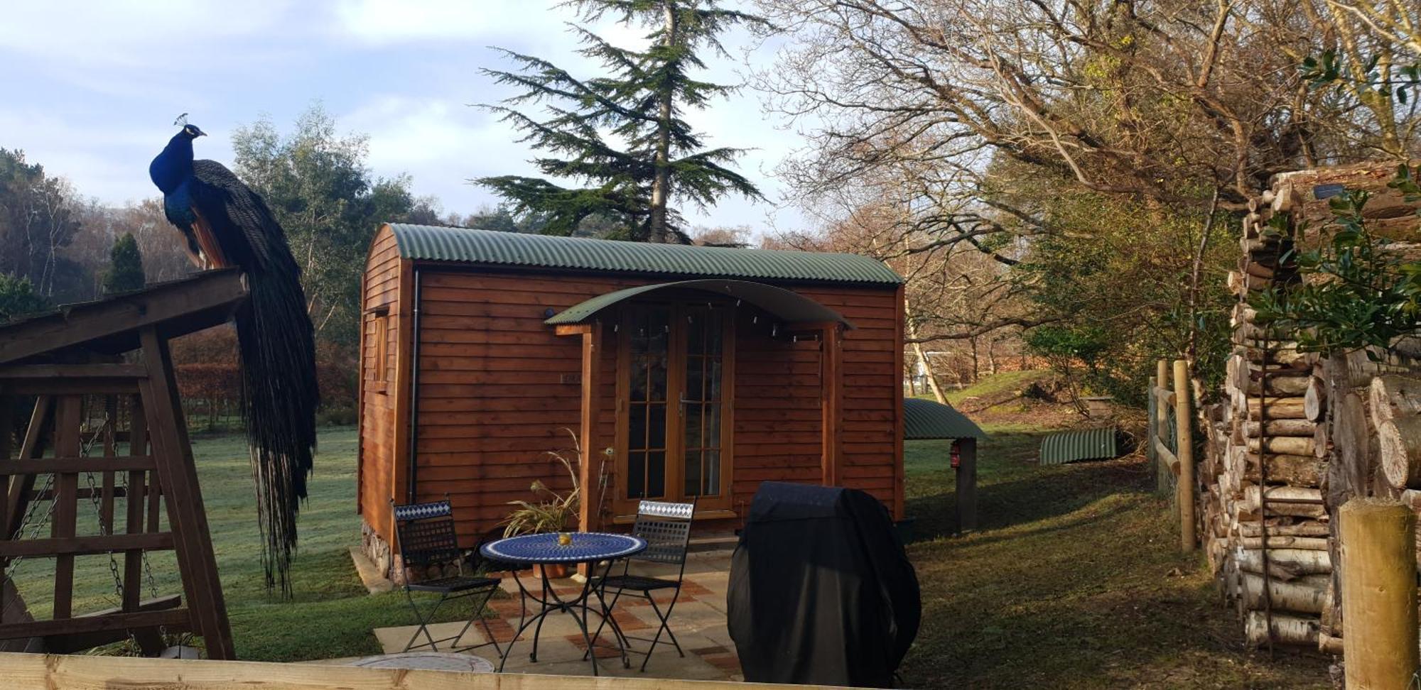 Vila Sika Hut Wareham Exteriér fotografie